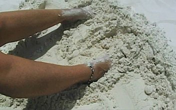 Sand fly beach sex Porn Videos | xHamster Premium